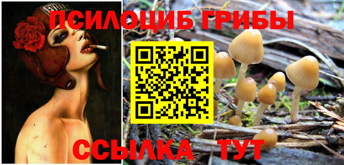 Куйбышев  Псилоцибиновые грибы Psilocybe  Вход с VPN 
